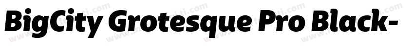 BigCity Grotesque Pro Black字体转换